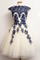 Chic Vintage Homecoming Dress Sleeveless Applique Tulle Short Prom Dress Party Dress OHM123 | Cathyprom