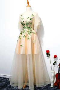 Champagne A Line Tulle V Neck Long Embroidery Lace Short Sleeves Evening Dress OHC469 | Cathyprom
