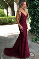 Sexy Mermaid Deep V-Neck Lace Long Prom Dress, Evening Dress CMS211124