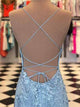 Exquisite Sheath Prom Dresses Spaghetti Straps Tulle Prom Gowns CP118