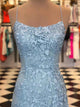 Exquisite Sheath Prom Dresses Spaghetti Straps Tulle Prom Gowns CP118