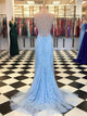Exquisite Sheath Prom Dresses Spaghetti Straps Tulle Prom Gowns CP118
