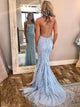 Exquisite Sheath Prom Dresses Spaghetti Straps Tulle Prom Gowns CP118