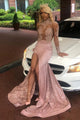 Pink High Neck Lace Mermaid Long Prom Dress XA1507