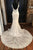 Spaghetti Straps Lace V Neck Wedding Dresses Mermaid Backless Wedding Gown Elegant Bridal Gown OHD196